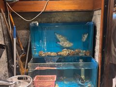 -桂马·日本料理·海胆·海鲜饭·酒场(民主广场店)