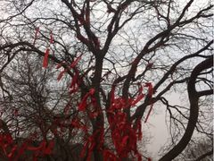 iphone_upload_pic-蒙山大佛景区