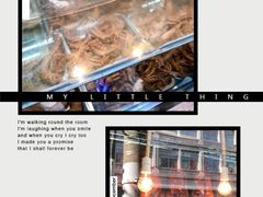 -北京王府井烤鸭(泰兴店)