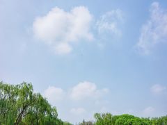 -沙澧河风景区