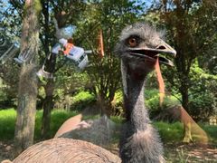 -杭州野生动物世界