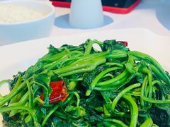 炝炒红薯尖-尘香•传统川菜(创汇首座店)