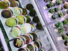 -KKV(深圳宏发大仟里店)