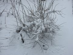 -西岭雪山大飞水景区
