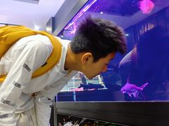 -青石桥花鸟鱼虫市场(叠翠城店)