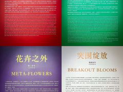 -德基艺术博物馆