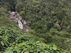 -海南热带雨林国家公园吊罗山景区