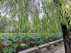 -四川大学(望江校区)