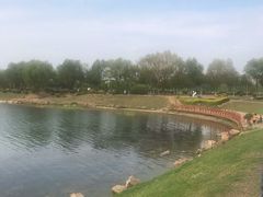 -丁香湖公园