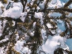 -密苑云顶乐园(云顶滑雪场)
