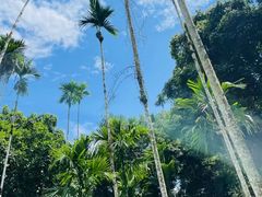 -中国科学院西双版纳热带植物园