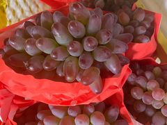 -马陆小张葡萄园农家乐