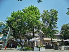 -一叶觅山(半边街店)