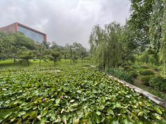 景点-红旗渠风景区
