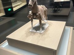 -太原市博物馆