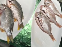 -好日子皇冠假日酒店·君怡咖啡厅(特美思大厦店)