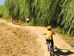 -永定河休闲森林公园