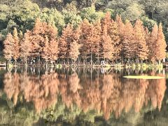-重庆彩云湖湿地公园
