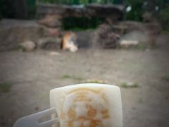 -上海野生动物园老虎餐厅