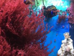 -杭州海底世界