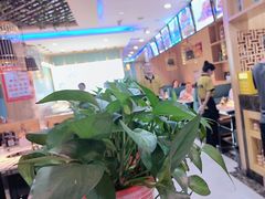 -重庆德庄火锅(张家口店)
