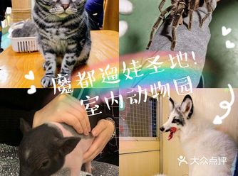 魔都遛娃新选择室内动物园你心动吗