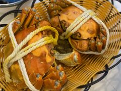 -蟹天蟹地农家菜·阳澄湖大闸蟹(浅水湾店)