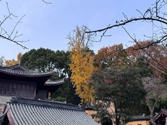 -九华山风景区