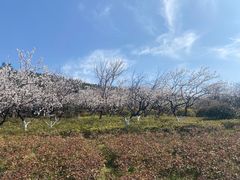 -云龙山