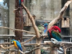 -大连森林动物园