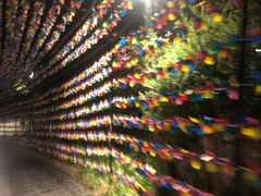 -芳草地度假酒店·野炉中餐厅