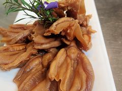 -食神鱼头佛跳墙(百子湾旗舰店)