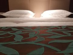 -长沙大成国际大酒店