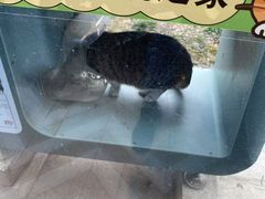 -筠咖啡西餐厅(上海国展宝龙丽筠酒店)