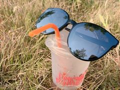 -天津东丽湖风景区