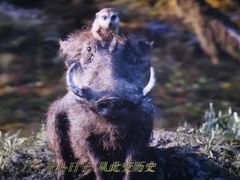 -CGV影城(新都心IMAX店)