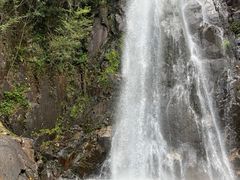 -姑婆山旅游区