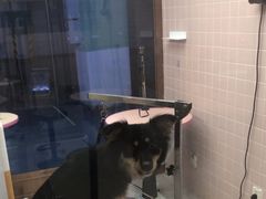 -FAELING PETS美天灵宠物(富力广场店)