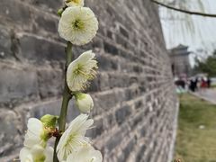 -北京明城墙遗址公园
