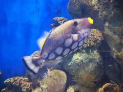 -福州罗源湾海洋世界旅游区