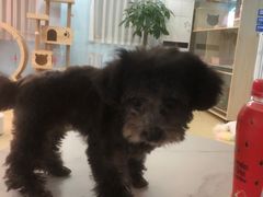 -喵宠乐园·撸猫互动·猫舍