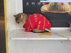 -山城巷传统风貌区