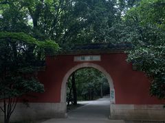-灵谷景区