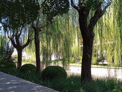 -元大都城垣遗址公园