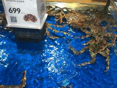 -盒马鲜生(枣园路店)