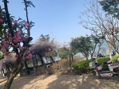 -阳澄湖半岛旅游度假区