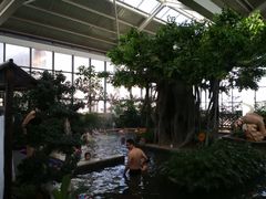 -太白山御龙湾温泉