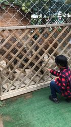 -萌宠亲子动物乐园(槐房万达店)