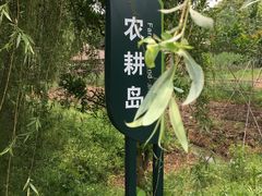 -长兴太湖图影湿地文化园