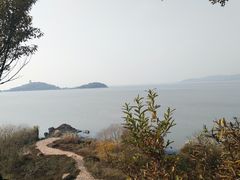-上海市保健医疗中心(华东疗养院)